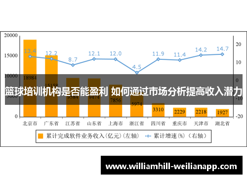 篮球培训机构是否能盈利 如何通过市场分析提高收入潜力