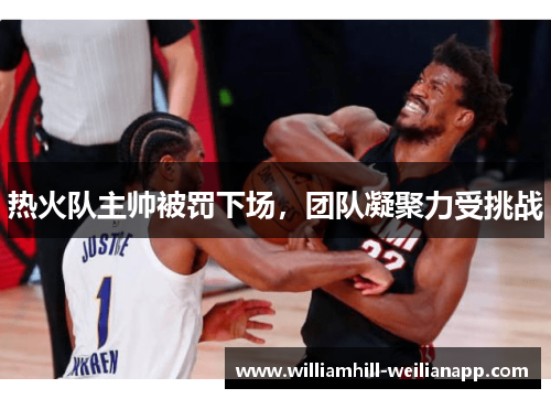 热火队主帅被罚下场，团队凝聚力受挑战
